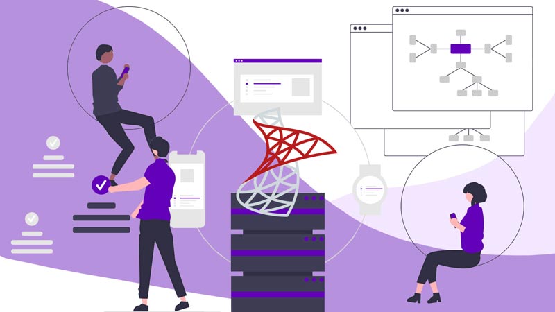 Microsoft SQL server, a strong tool to deal thoroughly with data, history and evolution up to the present day.