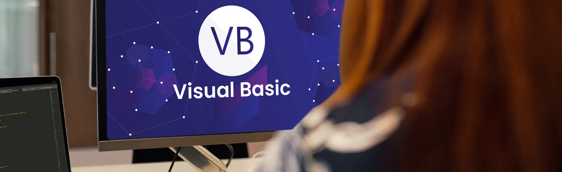 Visual Basic software development programmer working on custom applications